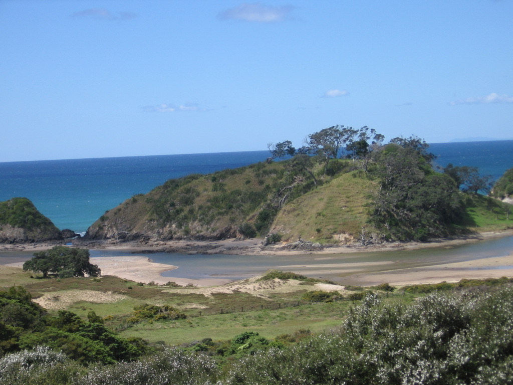 ./IMG_1214_1768716504789